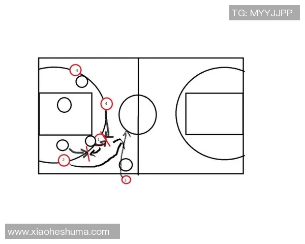 西安篮球队区域防守创新策略解析与战术演变探讨